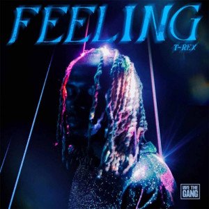 Feeling