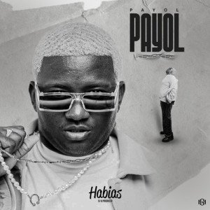Payol Remix